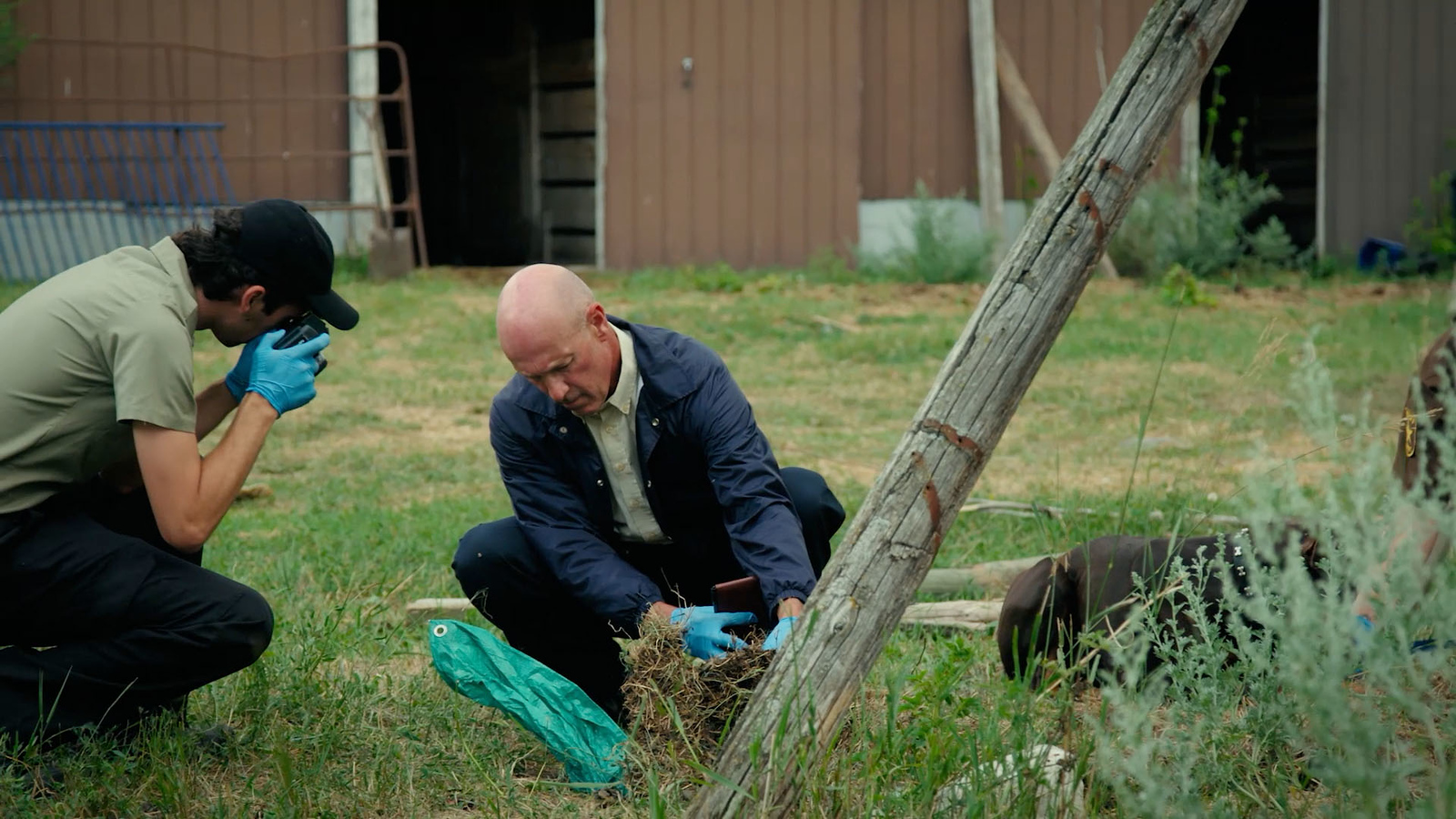 Homicide in Gunnison, CO